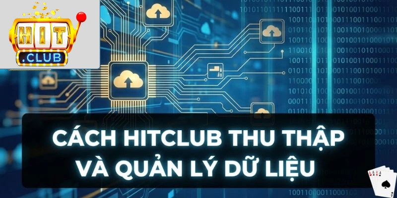 Chính Sách Bảo Mật Cách Hitclub thu thập và quản lý dữ liệu